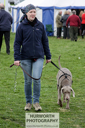 Hurworth Point to Point 070