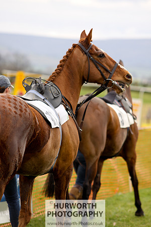 Hurworth Point to Point 025