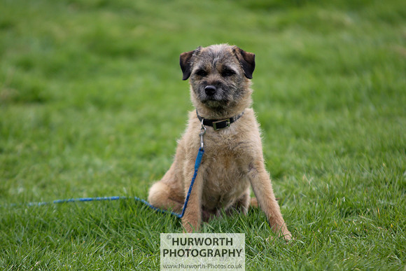 Hurworth Point to Point 083