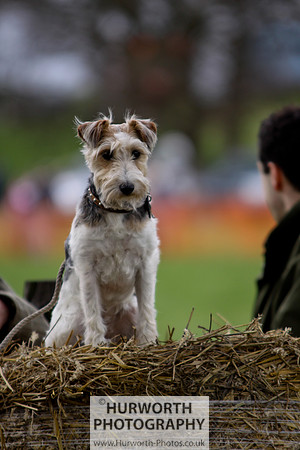 Hurworth Point to Point 085