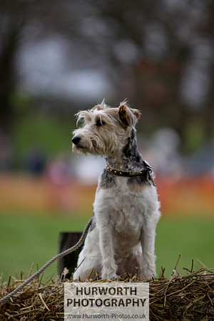 Hurworth Point to Point 086