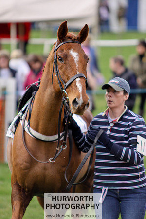 Hurworth Point to Point 031