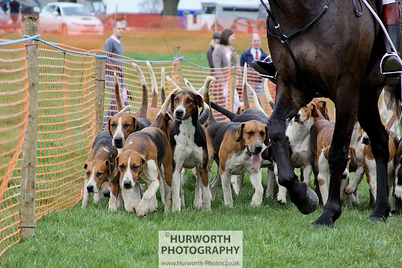 Hurworth Point to Point 098