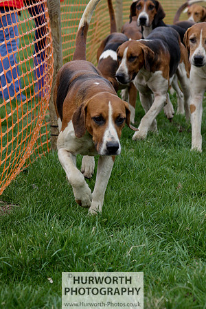 Hurworth Point to Point 099