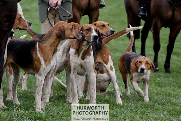Hurworth Point to Point 100