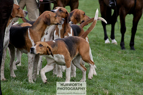 Hurworth Point to Point 101
