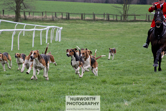 Hurworth Point to Point 111