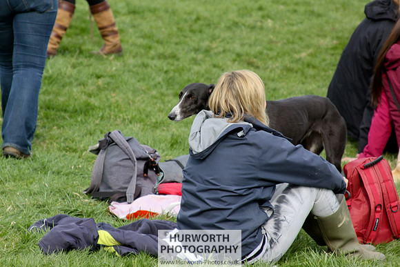 Hurworth Point to Point 135