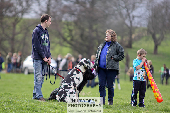Hurworth Point to Point 141