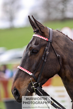 Hurworth Point to Point 007