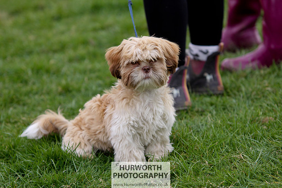 Hurworth Point to Point 163