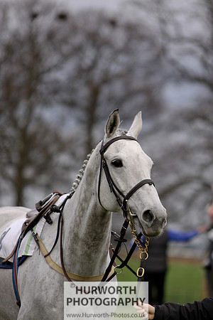 Hurworth Point to Point 005