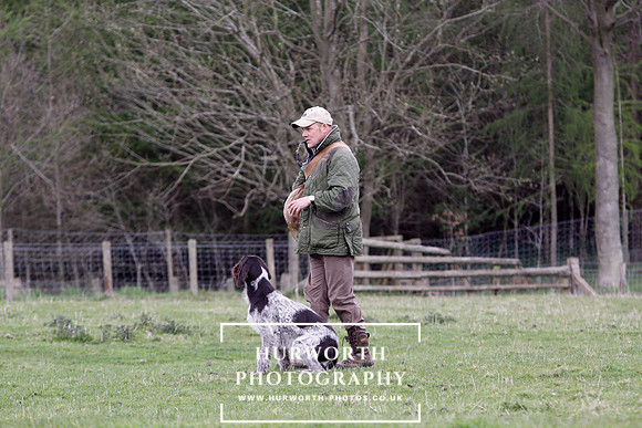 Gundog Photography 194