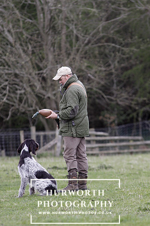Gundog Photography 195