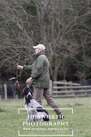 Gundog Photography 196