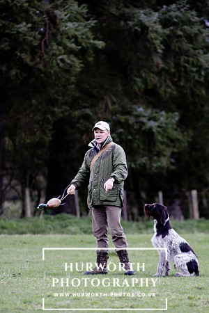 Gundog Photography 207