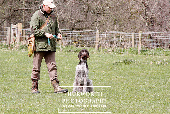Gundog Photography 226