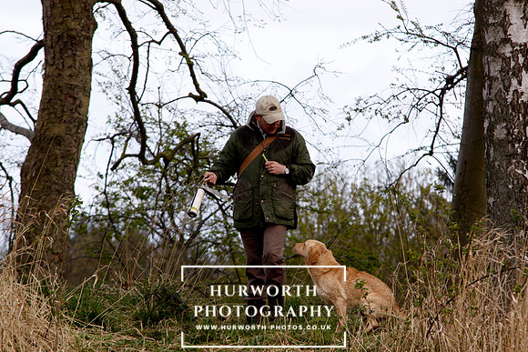 Gundog Photography 237