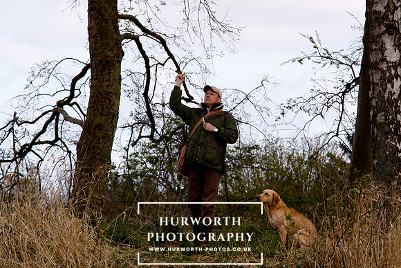 Gundog Photography 238