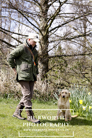 Gundog Photography 013