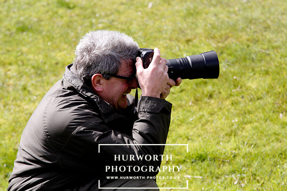 Gundog Photography 014