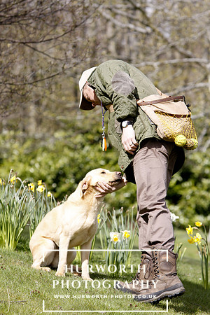 Gundog Photography 016