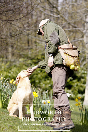 Gundog Photography 017