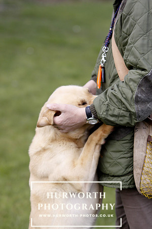 Gundog Photography 023