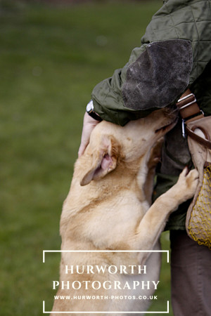 Gundog Photography 024