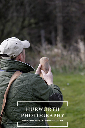 Gundog Photography 031