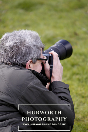 Gundog Photography 032