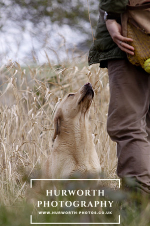 Gundog Photography 053