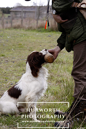 Gundog Photography 102