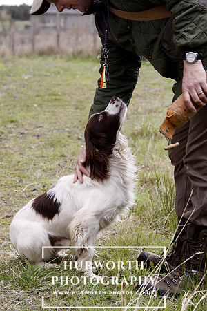 Gundog Photography 104