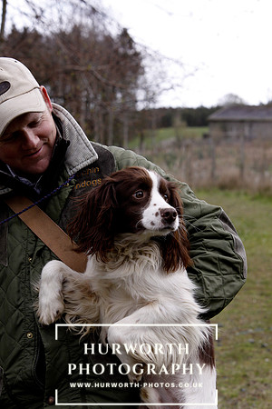 Gundog Photography 108