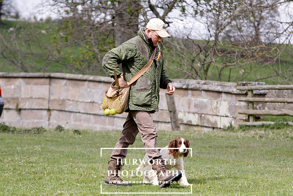 Gundog Photography 116