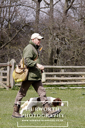 Gundog Photography 117