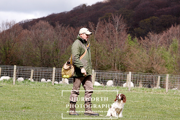 Gundog Photography 118