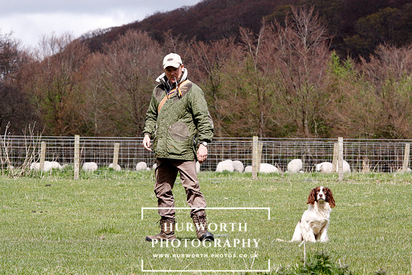 Gundog Photography 119