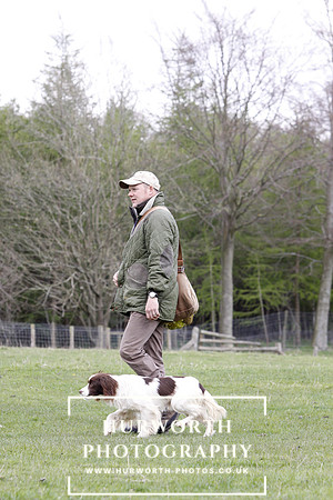 Gundog Photography 124