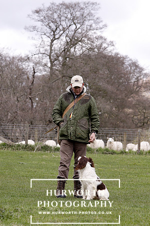 Gundog Photography 128
