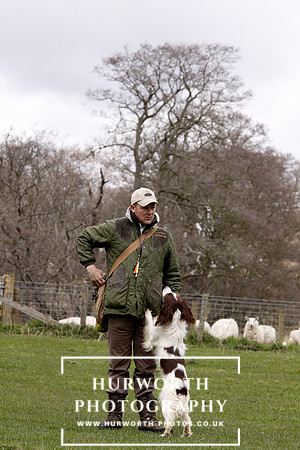 Gundog Photography 129