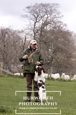 Gundog Photography 130