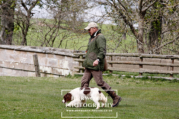 Gundog Photography 142