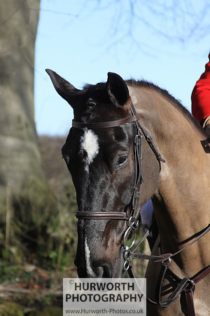 Hurworth 011