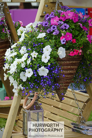 2015 RHS Tatton -88