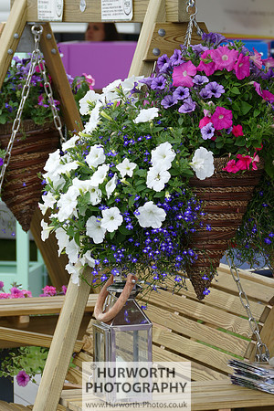 2015 RHS Tatton -89