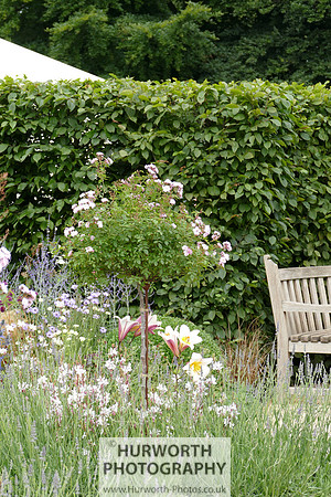 2015 RHS Tatton -104