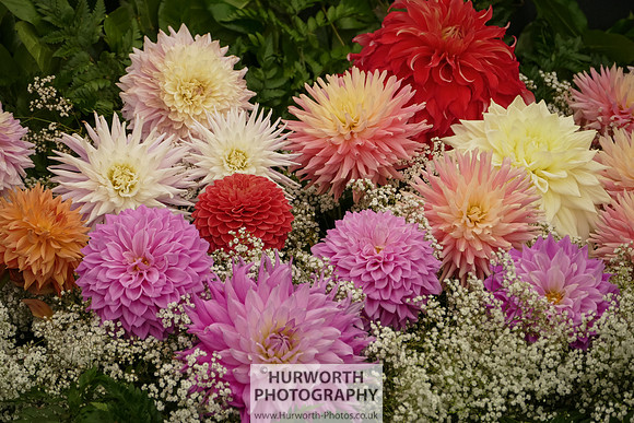 2015 RHS Tatton -127