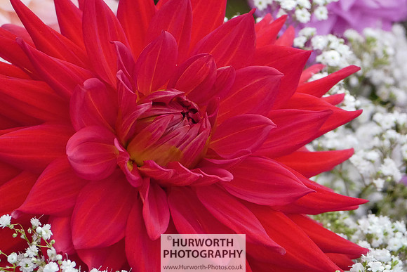 2015 RHS Tatton -129